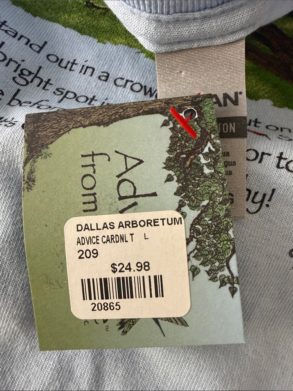 Advice from a Cardinal Graphic Tee - Light Blue - Picture 3 of 8